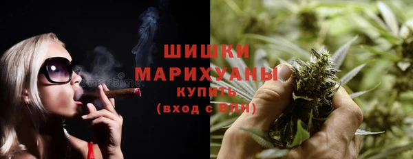 хмурый Арсеньев