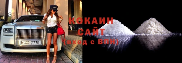хмурый Арсеньев