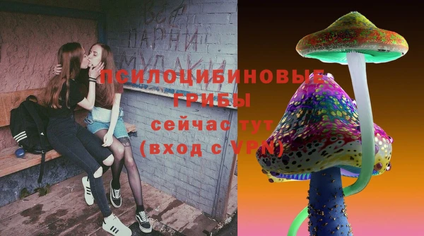 хмурый Арсеньев