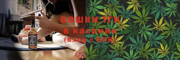 трава Аркадак