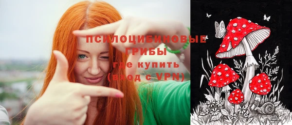 трава Аркадак