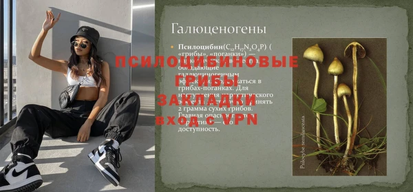 хмурый Арсеньев