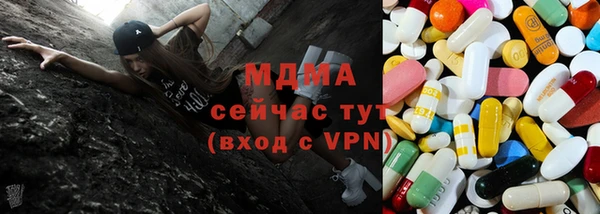хмурый Арсеньев