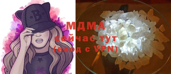 хмурый Арсеньев
