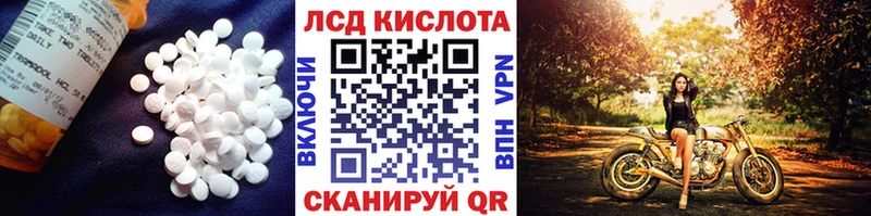 ЛСД экстази ecstasy  Петропавловск-Камчатский 