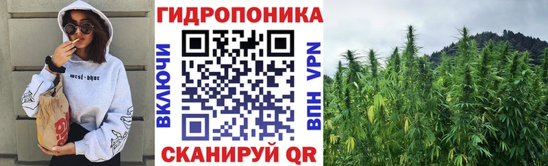 OMG вход  Петропавловск-Камчатский  Конопля ГИДРОПОН 